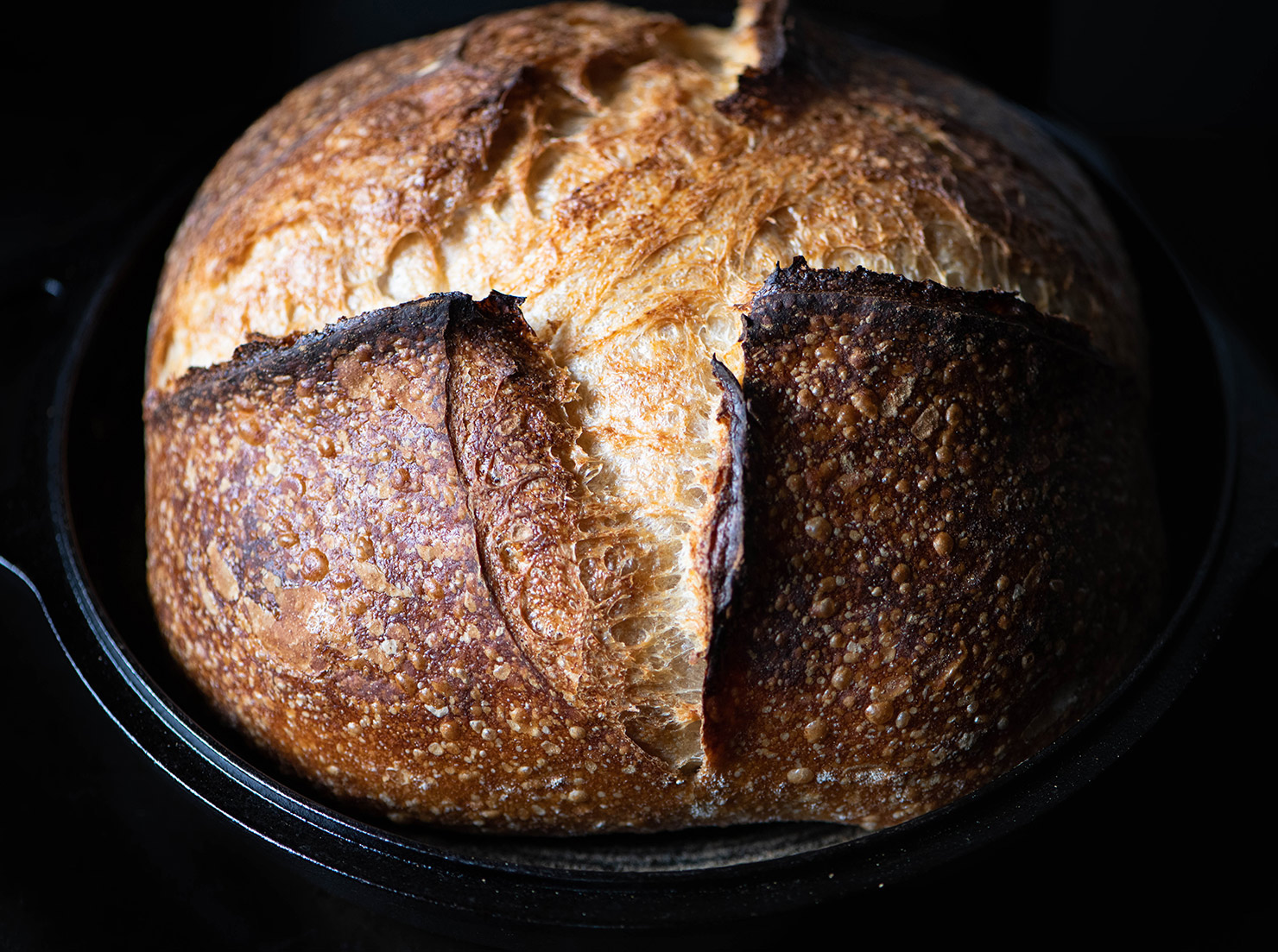 Sourdough Making Kit (Add-On) - Local Roots NYC