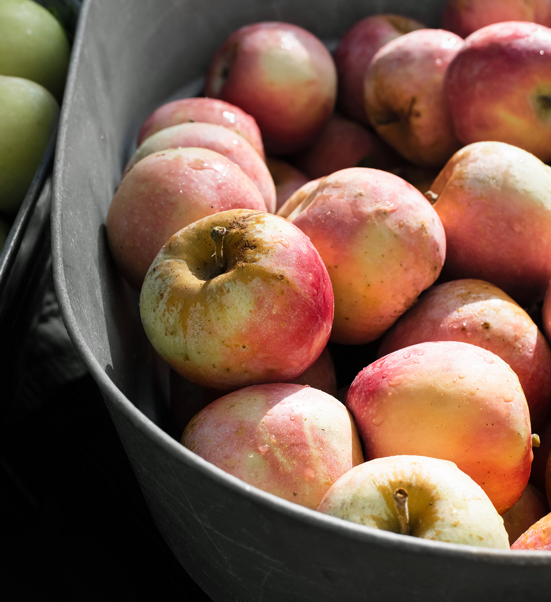Windrose Farm apples at the Santa Monica Farmers Market
