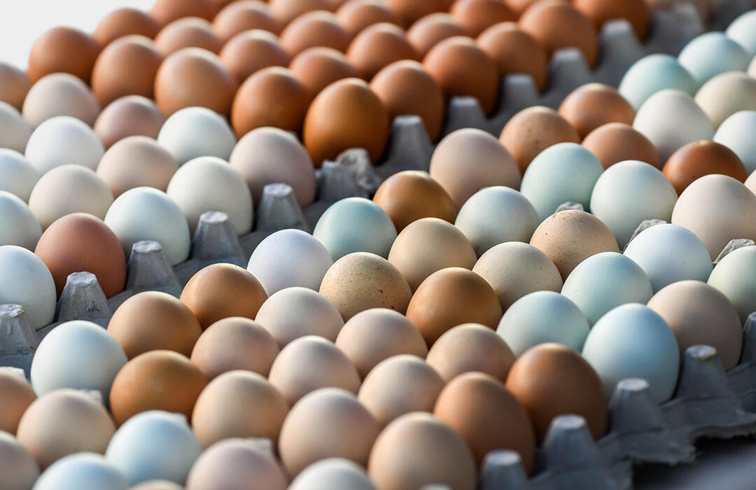 Omma's Garden eggs at the Santa Monica Farmers Market