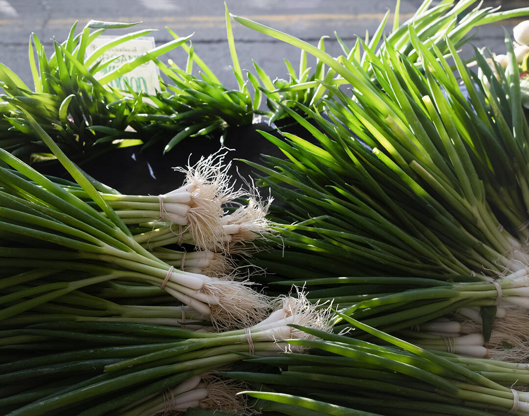 Scallions at The Garden Of—Santa Monica Farmers Market