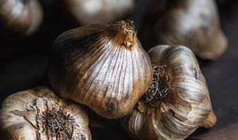 Heads of black garlic.