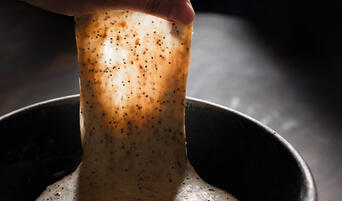 Everything black garlic bread dough being stretched.