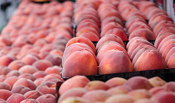 Peaches at the Santa Monica Farmers Market