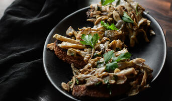 Gjelina's Mushroom Toast from their cookbook of the same name.