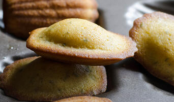 Pan of Rosemary Olive Oil Madeleines