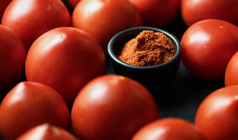 Whole Celebrity tomatoes and a bowl of tomato skin powder.