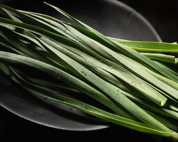 Plate of spring garlic greens (aka green or young garlic).